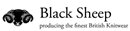 BLACK SHEEP LIMITED (01679915)