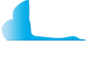 CYGNUS INSTRUMENTS LIMITED