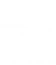 COMPUTER SYSTEMS IN EDUCATION LIMITED (02951516)
