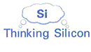 THINKING SILICON LIMITED (03043907)