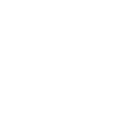 CALEVA PROCESS SOLUTIONS LTD. (03073156)