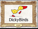 DICKY BIRDS PRE SCHOOL NURSERIES LIMITED (03546995)