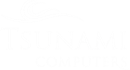 TSUNAMI COMPUTERS LIMITED (03608885)