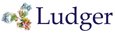 LUDGER LIMITED
