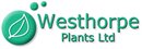 WESTHORPE PLANTS LIMITED (03915577)