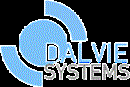 DALVIE STORAGE SYSTEMS LIMITED
