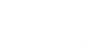 HOLME TREE LTD