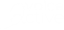 VOICE ACTIVE LIMITED