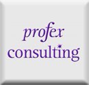 PROFEX CONSULTANCY LIMITED (04941175)