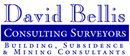 DAVID BELLIS CONSULTING SURVEYORS LIMITED (05034580)