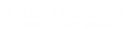 THE LITE SPOT (UK) LIMITED (05038933)