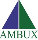 AMBUX LTD (05075034)