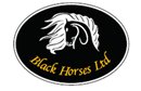 BLACK HORSES LTD