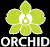 ORCHID SYSTEMS LIMITED (05519331)