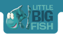 LITTLE BIG FISH FILMS LIMITED