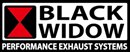 BLACK WIDOW EXHAUSTS LIMITED