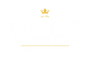 PERFECT EXAMPLE LIMITED (05625751)