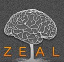 ZEAL SOLUTIONS LIMITED (05895359)