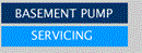 BASEMENT PUMP SERVICING LIMITED (06008470)