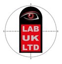 LAB (UK) LIMITED (06473418)