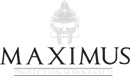 MAXIMUS PROTECTION SERVICES LTD