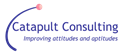 CATAPULT CONSULTING LIMITED