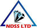 NDSS LTD (06726465)