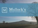 MULLOCK'S LTD (06787781)