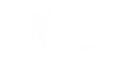LINCOLNSHIRE COUNTY CRICKET LTD