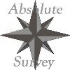ABSOLUTE SURVEY LTD (07367896)