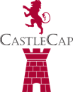 CASTLECAP INVESTMENTS LIMITED