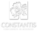 CONSTANTIS LIMITED (07702639)