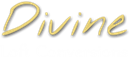 DIVINE LOFT CONVERSIONS LIMITED (07847127)
