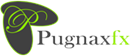 PUGNAX FX CAPITAL LIMITED