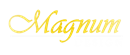 MAGNUM DESIGN LTD