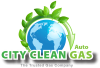 CITY CLEAN AUTOGAS LTD (08094110)