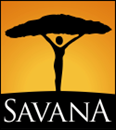 SAVANA INC LTD (08128653)