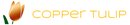 COPPER TULIP LTD