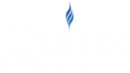 QUINN FINANCE LTD