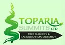 TOPARIA SUMMITS LTD