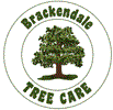 BRACKENDALE TREE CARE LIMITED (09644848)