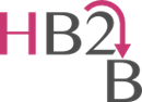 HB2B LIMITED (09929055)
