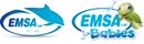 EAST MIDLANDS SWIMMING ACADEMY LIMITED (10026665)
