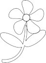 FANTASIA FLOWERS LTD (10329025)